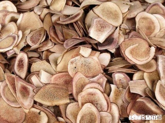 陕北适合种植什么中药材