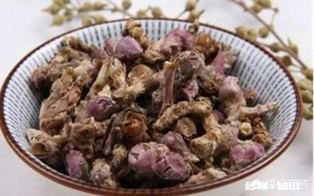 陕北适合种植什么中药材