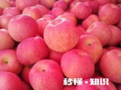 有没有在某个瞬间委屈的要死过后想想是自己造成的有苦难言