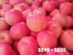 有没有在某个瞬间委屈的要死过后想想是自己造成的有苦难言