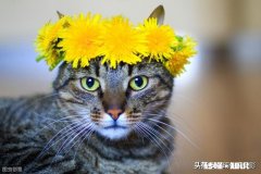 如何被更多人关注阅读