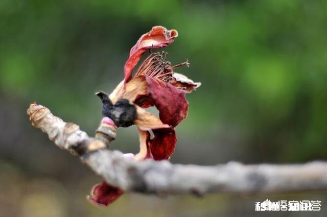 你遇到过什么事情让你觉得人心险恶