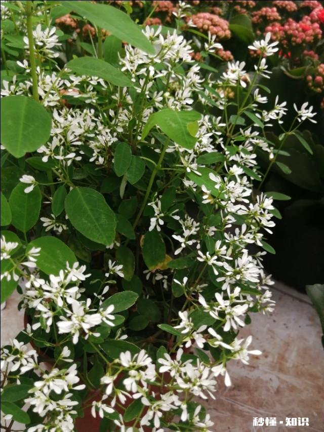 反映“上课不讲下课讲”的人是公正心态吗