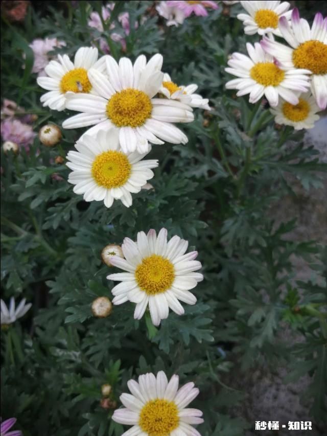 反映“上课不讲下课讲”的人是公正心态吗