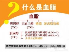 不吃药，怎么降下血脂