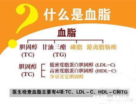 不吃药，怎么降下血脂