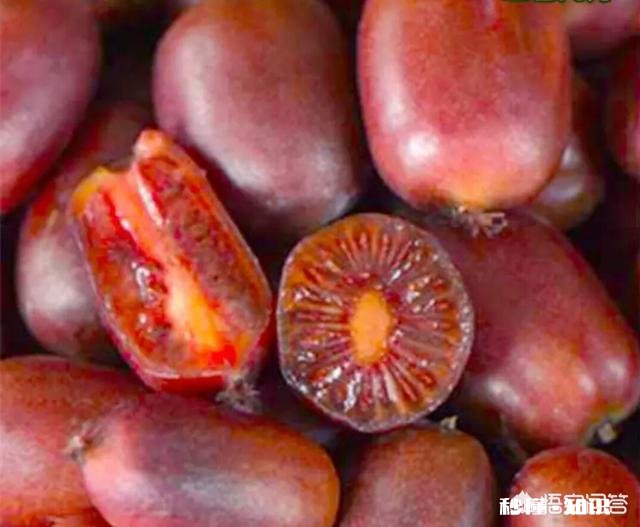 吃猕猴桃真的可以美容吗