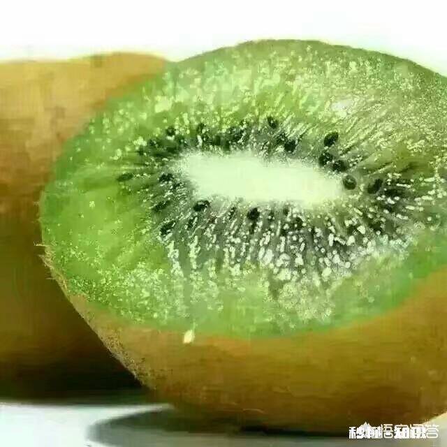 吃猕猴桃真的可以美容吗