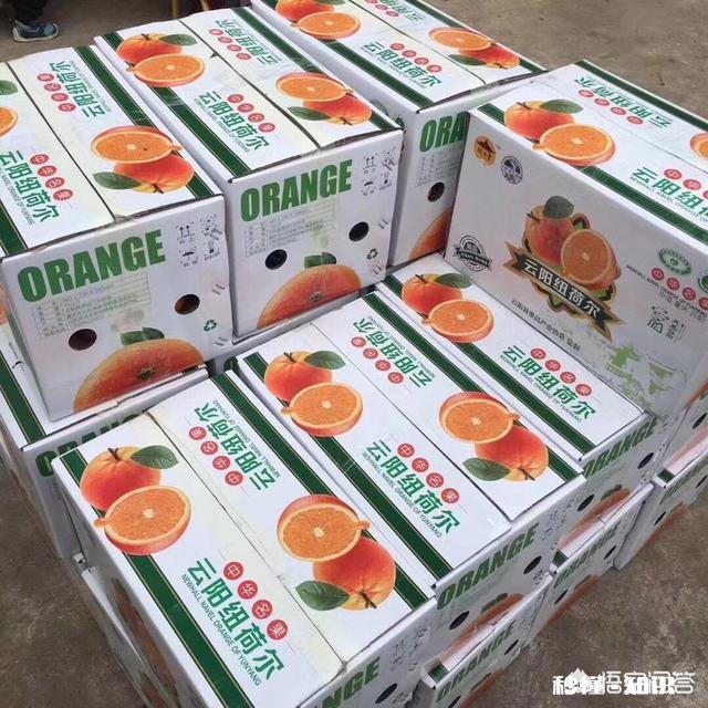 为什么重庆本地有奉节脐橙，但是主城水果店还是卖赣南脐橙