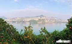 为什么重庆本地有奉节脐橙，但是主城水果店还是卖赣南脐橙