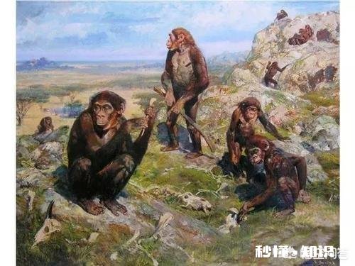 地球为什么选择了人类是必然还是偶然