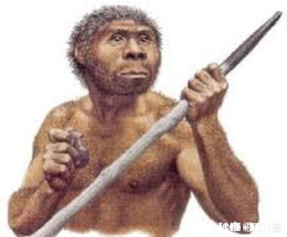 地球为什么选择了人类是必然还是偶然