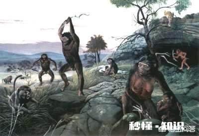 地球为什么选择了人类是必然还是偶然