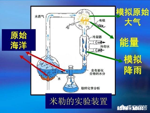 地球为什么选择了人类是必然还是偶然