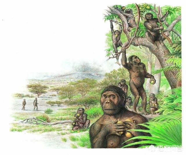 地球为什么选择了人类是必然还是偶然