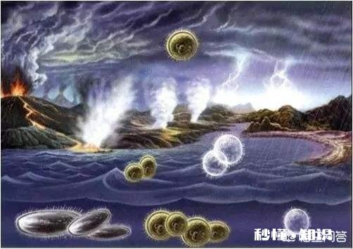 地球为什么选择了人类是必然还是偶然