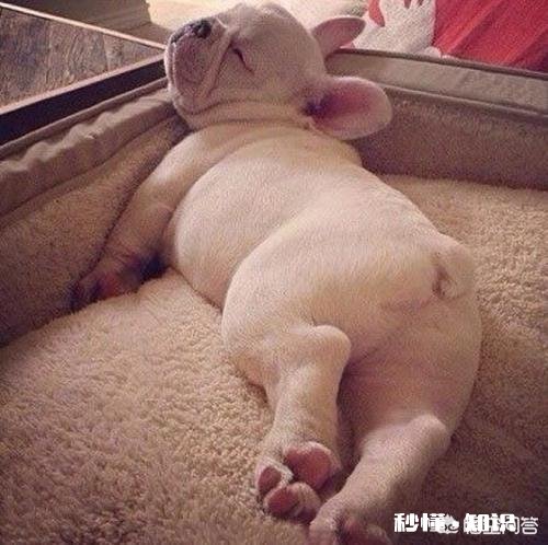 用什么方式搞笑的效果会更好呈现呢