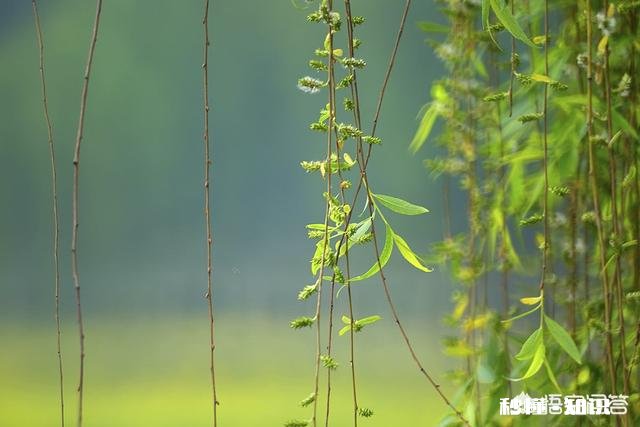 读什么散文会让人心情愉快