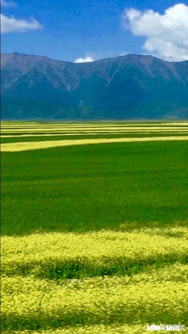 读什么散文会让人心情愉快