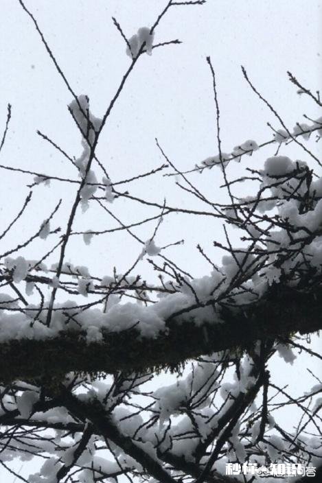 你做过的对伤害你的“渣男”、“渣女”最解恨的事情是什么