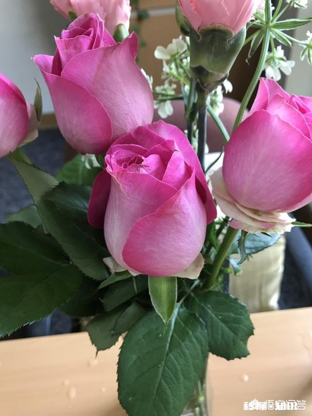 想娶一个北京的姑娘，到底该怎么做