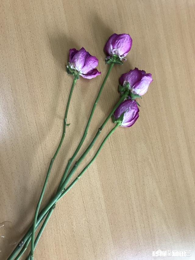 想娶一个北京的姑娘，到底该怎么做