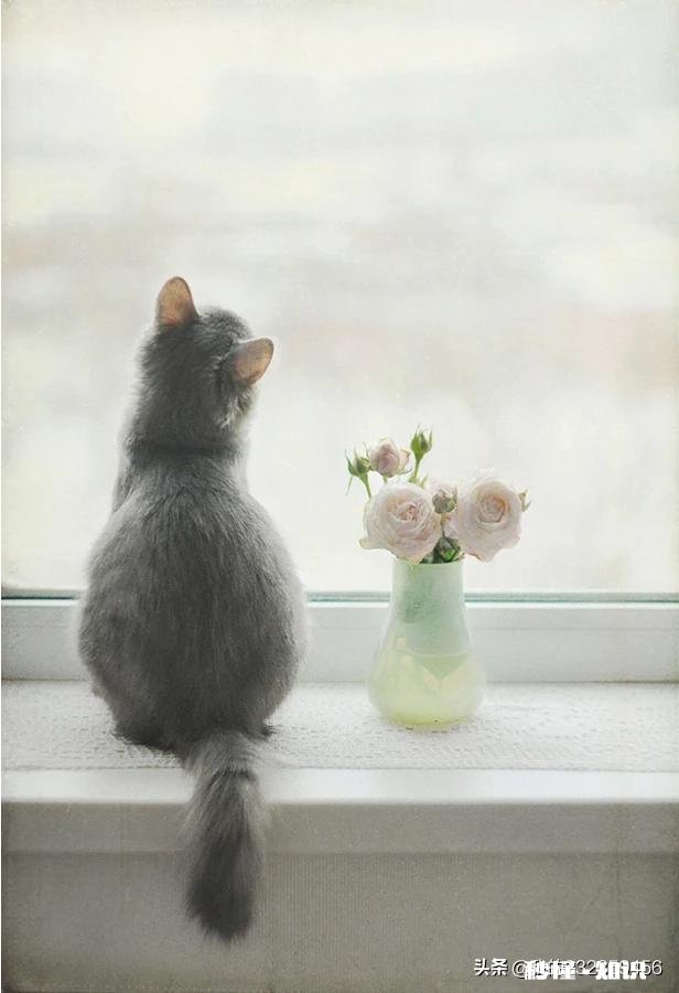 人像摄影，拍背影同时还可以露脸的方案有几种