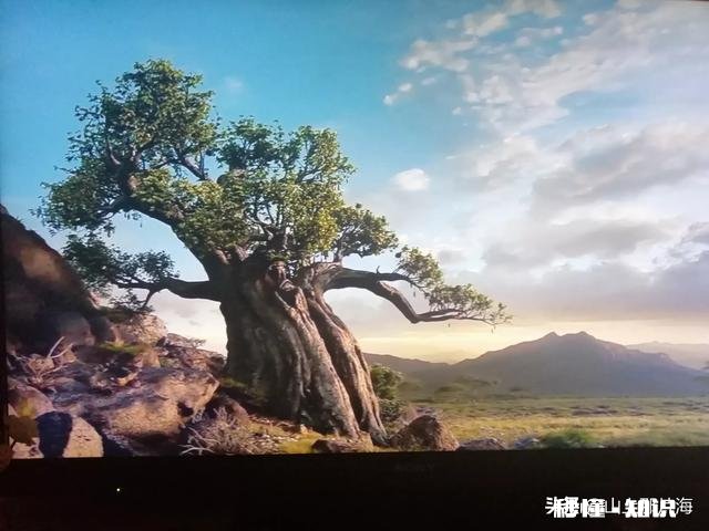 最近想看一些关于单亲家庭心理方面的书，求推荐