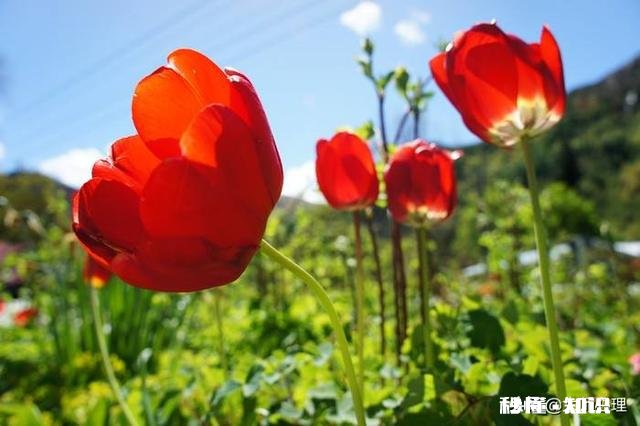 感觉自己抑郁了该如何调节抑郁症患者一般前期后期会有哪些变化