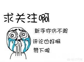 说说你认为林夕最美的一句歌词是什么