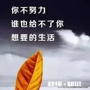 青少年为什么要勇于尝试?