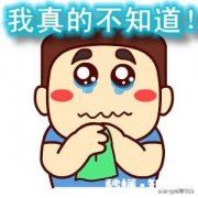 请大家提供这幅画的信息