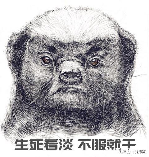 老师假期兼职外卖，有网友竟说：这样的老师该开除，你认为呢