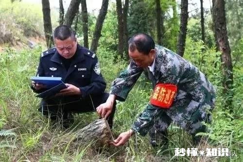 我是农村的，家里的山林在不知情的情况下让人卖掉了，我该怎么办