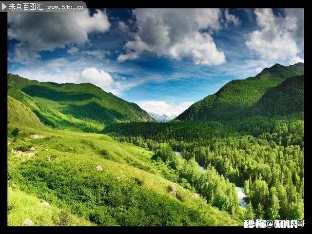 我是农村的，家里的山林在不知情的情况下让人卖掉了，我该怎么办