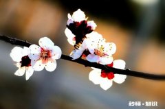 在婆家带孩子，婆婆总说跟我难以相处，我该怎么办