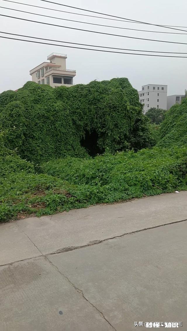 每天都很晚睡的人，在想些什么呢