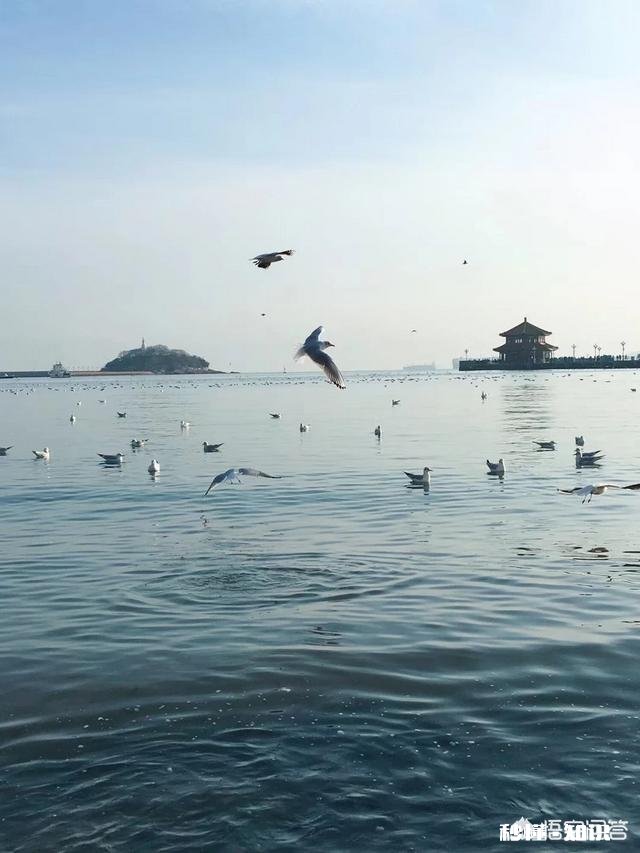 为什么说许多看破红尘的人，未必真正读懂人生的意义?但有的确实是达到了一定悟性