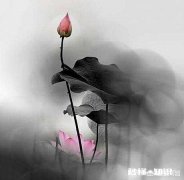 为什么说许多看破红尘的人，未必真正读懂人生的意义?但有的确实是达到了一定悟性