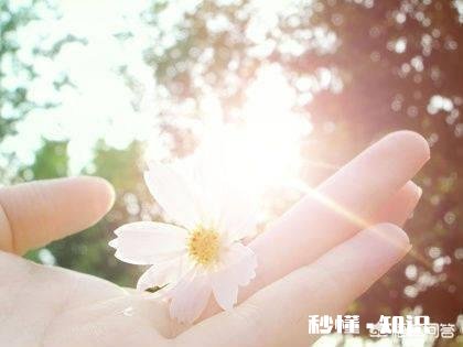 为什么说许多看破红尘的人，未必真正读懂人生的意义?但有的确实是达到了一定悟性