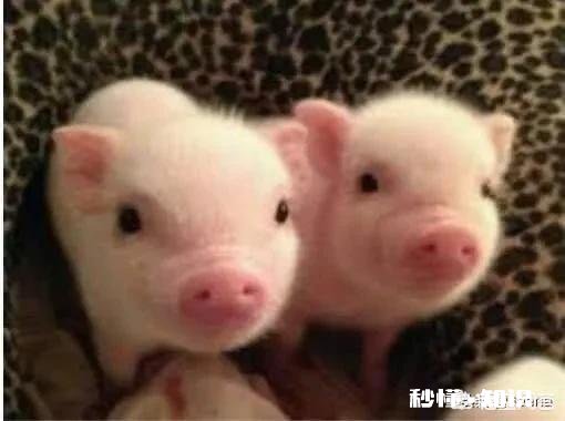 为什么有些人在生活中常说缘份俩字