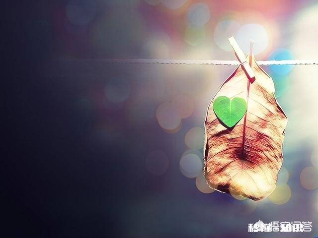 无忧无虑，诚实守信，互帮互敬，老少无欺，在这种环境下生活你觉得如何