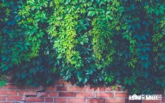 无忧无虑，诚实守信，互帮互敬，老少无欺，在这种环境下生活你觉得如何