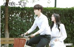 你觉得网络小说改编成影视作品最成功的是哪一部为什么