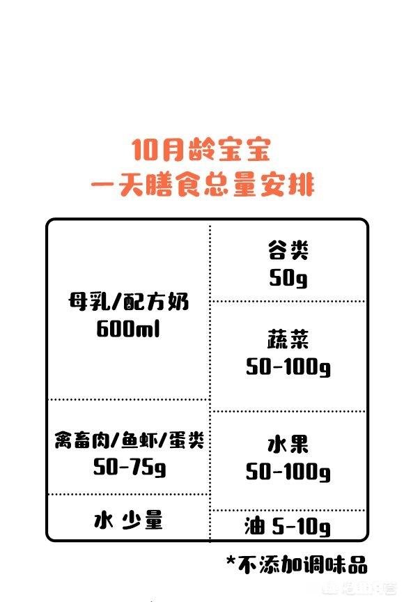 适合6月+宝宝的辅食