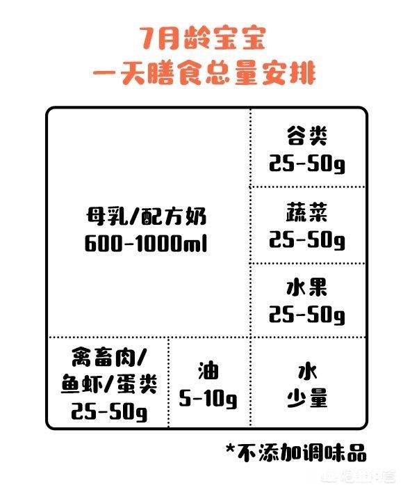 适合6月+宝宝的辅食