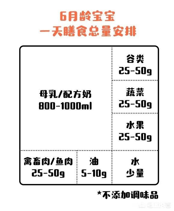 适合6月+宝宝的辅食
