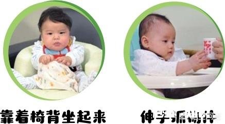 适合6月+宝宝的辅食