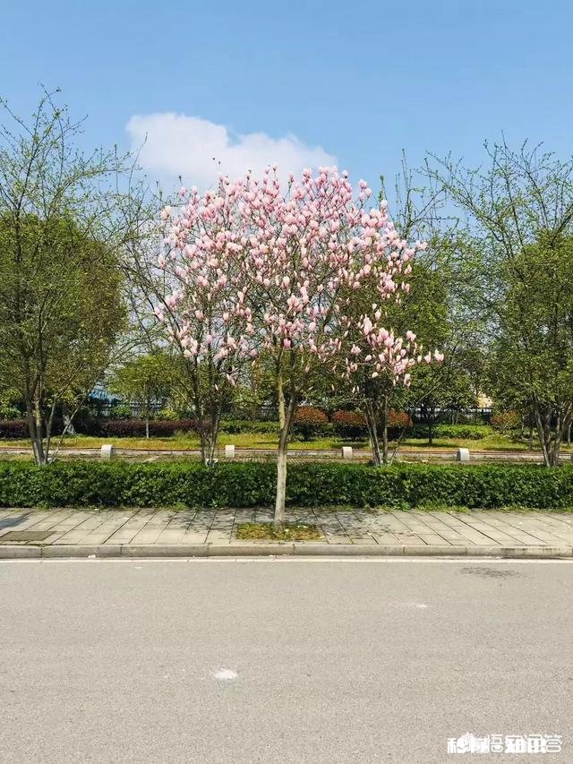 你的好哥们儿不帮你忙怎么办