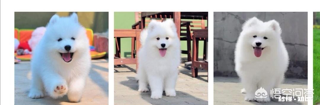 女孩子内向型，父母多带孩子出去旅游的话会让她的性格开朗一些吗